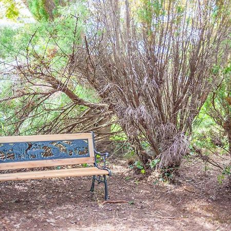 Cwtch Y Coetir Βίλα Σουόνσι Εξωτερικό φωτογραφία