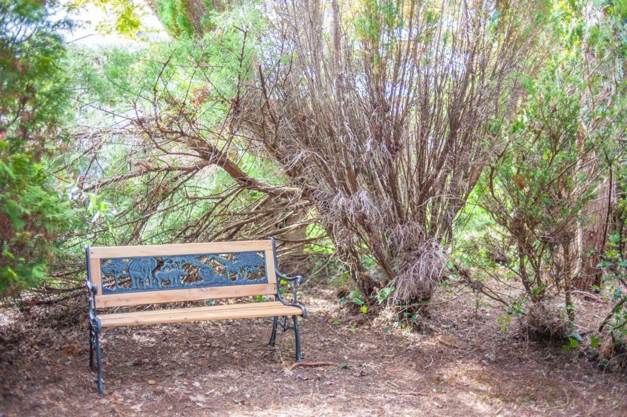 Cwtch Y Coetir Βίλα Σουόνσι Εξωτερικό φωτογραφία